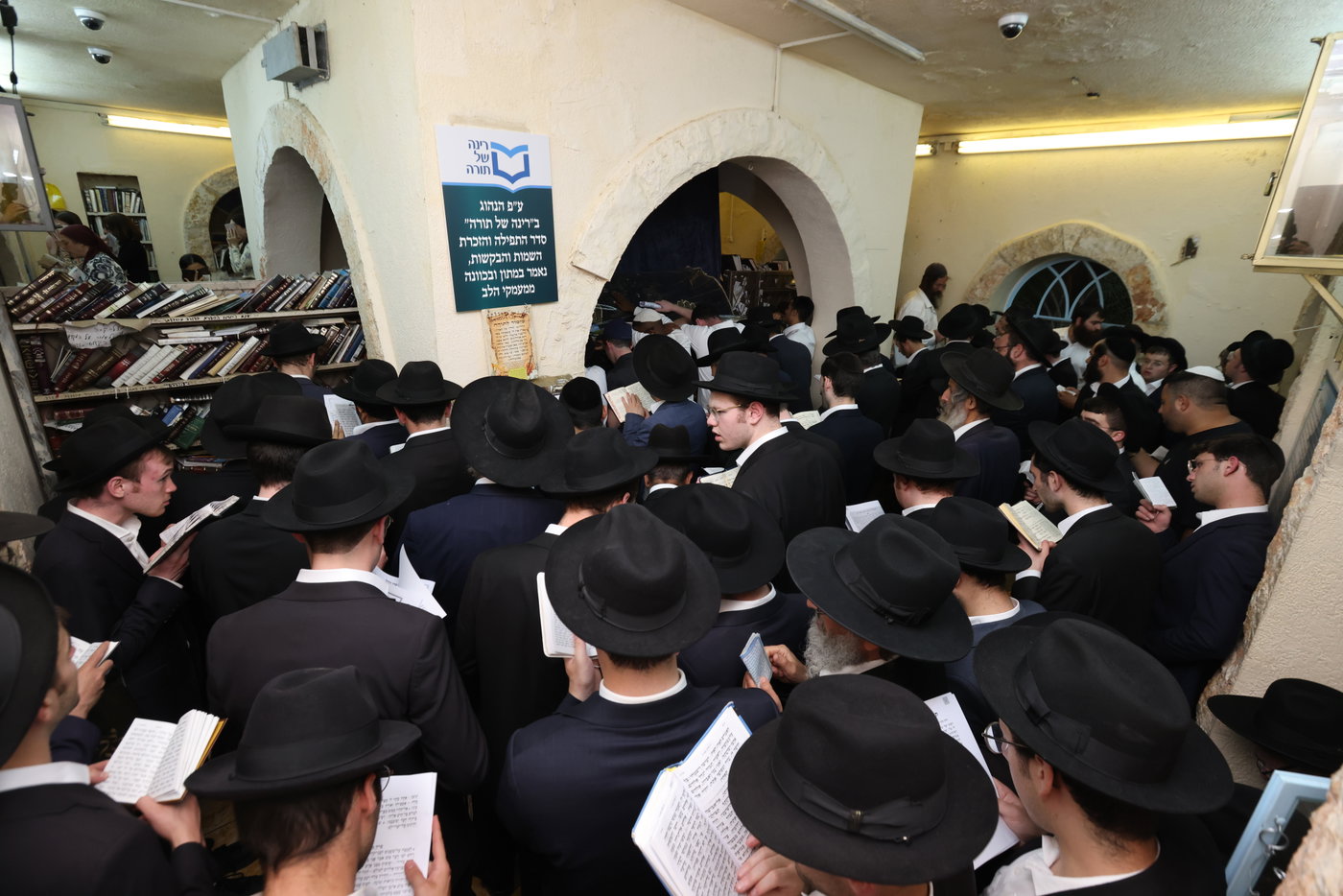 סגולת הפלא של רינה של תורה: אלפים זעקו בעמוקה, לזיווג הגון 