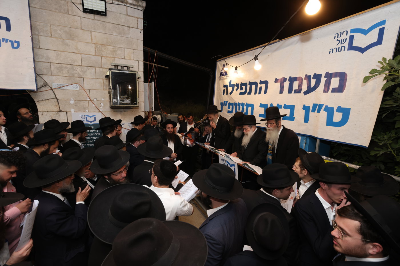 סגולת הפלא של רינה של תורה: אלפים זעקו בעמוקה, לזיווג הגון 