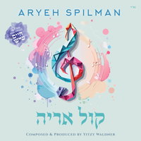 אריה שפילמן חוגג חתונת בנו: "חיים שיש" - הסינגל שיעיף אתכם