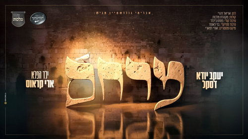 "מרחם": יענקי דסקל, מקהלת מלכות וארי קראוס בסינגל מרגש לאלול