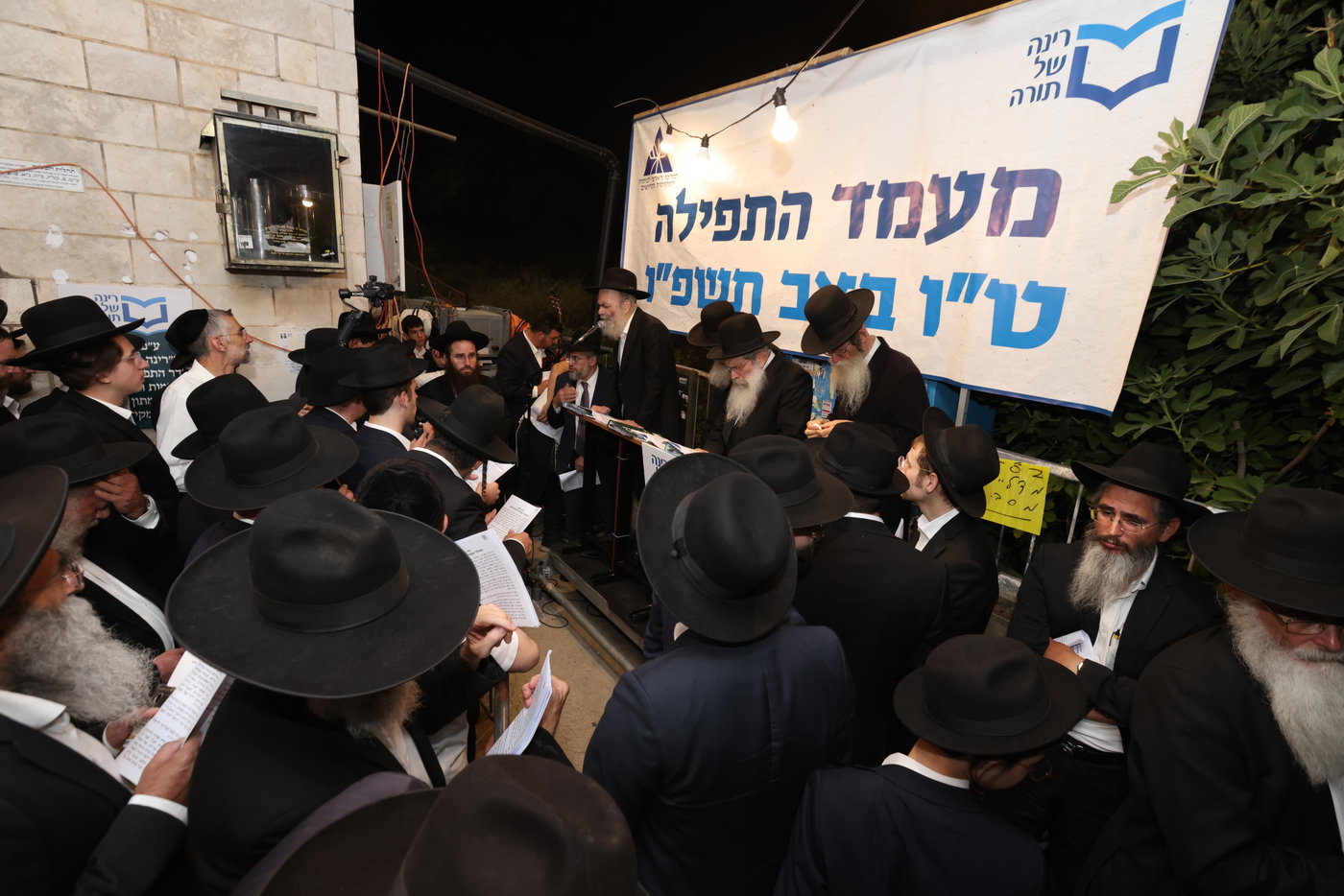 סגולת הפלא של רינה של תורה: אלפים זעקו בעמוקה, לזיווג הגון 