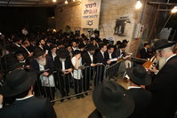 סגולת הפלא של רינה של תורה: אלפים זעקו בעמוקה, לזיווג הגון 