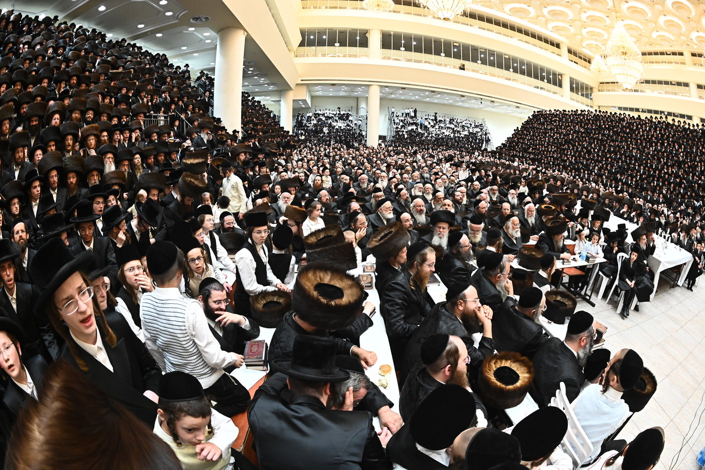 שמחת הפארשפיל בויז'ניץ