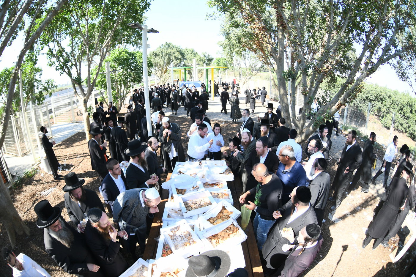 המעמד של אשכנשו במירון
