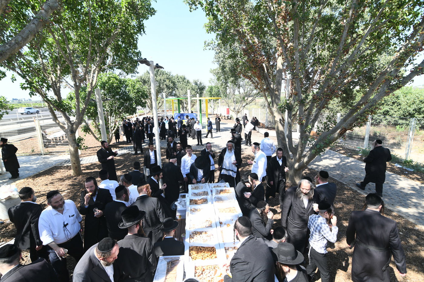 המעמד של אשכנשו במירון