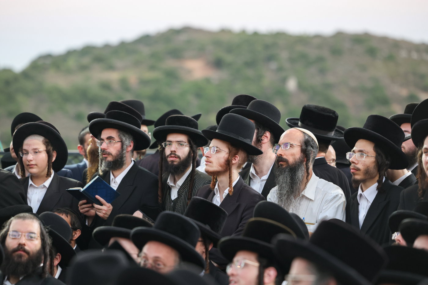 המעמד של אשכנשו במירון