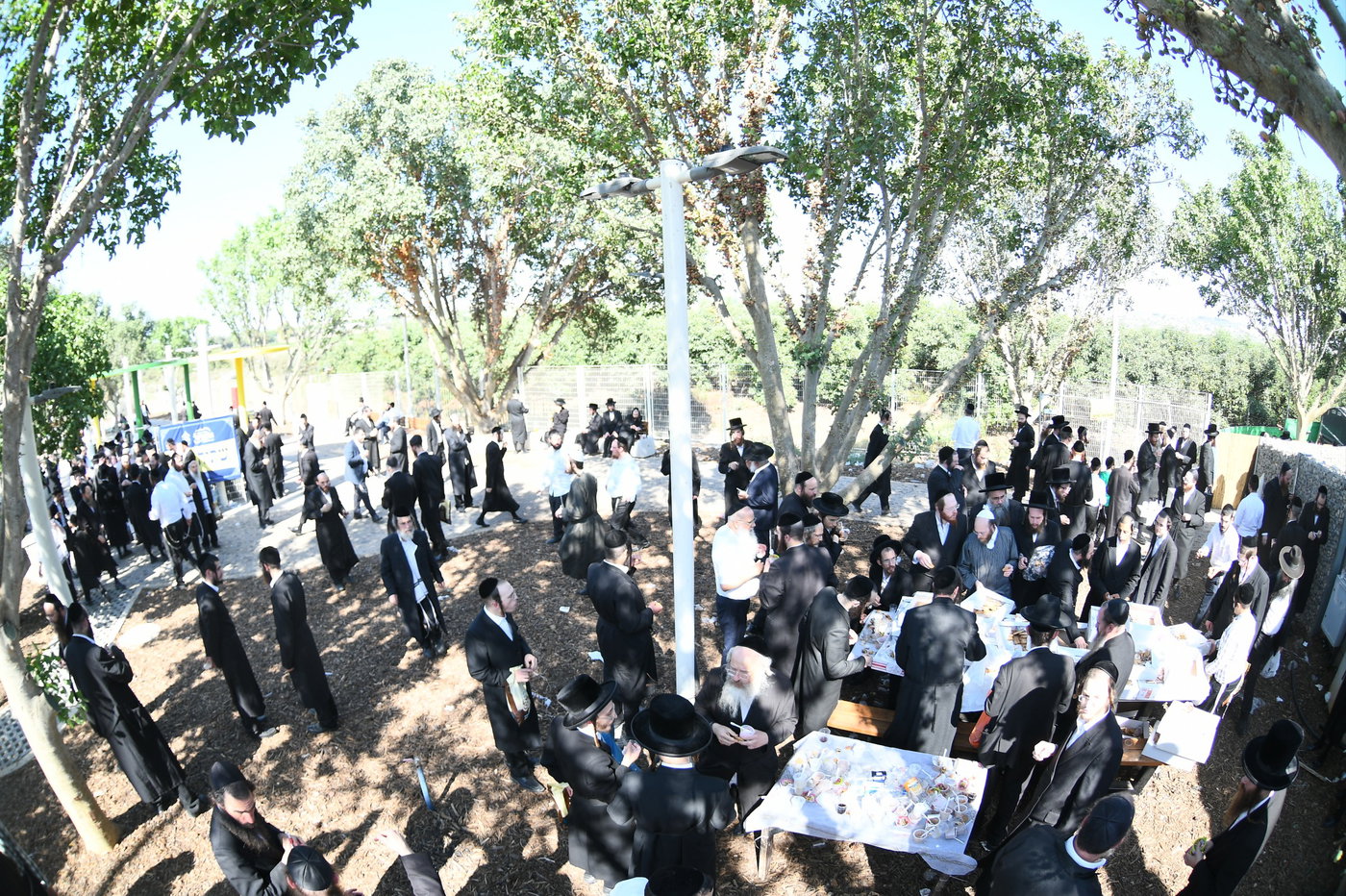 המעמד של אשכנשו במירון
