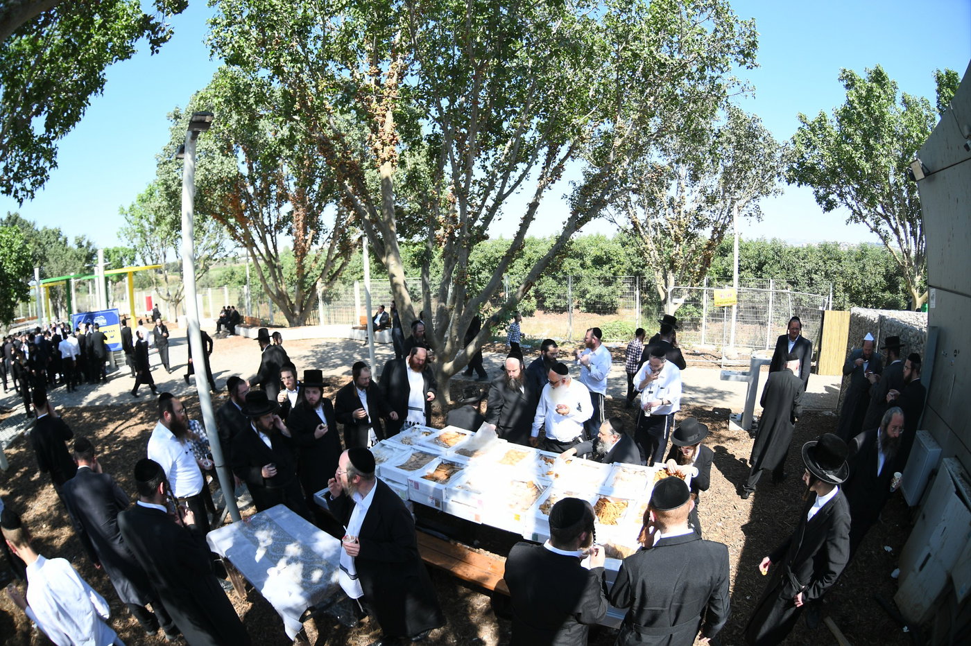 המעמד של אשכנשו במירון