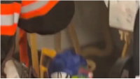 מהומה בבית הספר: נחש ענק שנמלט מכלאו גרם לשריפה 