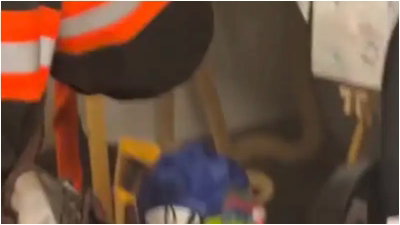 מהומה בבית הספר: נחש ענק שנמלט מכלאו גרם לשריפה