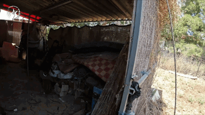 נתפס על עץ אחרי מרדף של 4 ק"מ: כך נלכד ראש חוליית הגנבים ושני חשודים