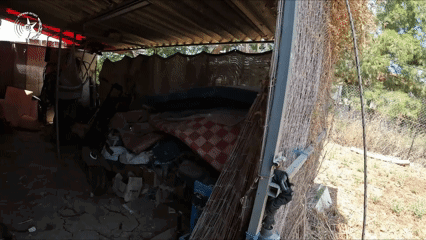 נתפס על עץ אחרי מרדף של 4 ק"מ: כך נלכד ראש חוליית הגנבים ושני חשודים
