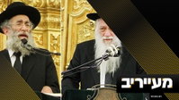 חשיפה: הרמז העבה של השופטת שבח למחבלים - שיחשבו שוב לפני פניה לבג"ץ | מעייריב