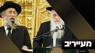 חשיפה: הרמז העבה של השופטת שבח ל'מחבלים' - שאולי ימנע מהם לערער בבג"ץ | מעייריב
