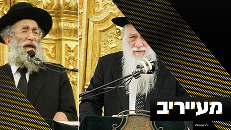 חשיפה: הרמז העבה של השופטת שבח למחבלים - שיחשבו שוב לפני פניה לבג"ץ | מעייריב