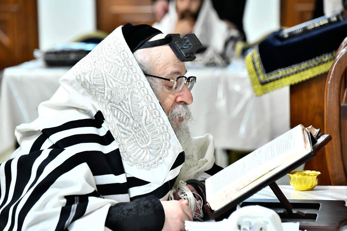 האדמו"ר מצאנז קלויזנבורג שבת בצפת