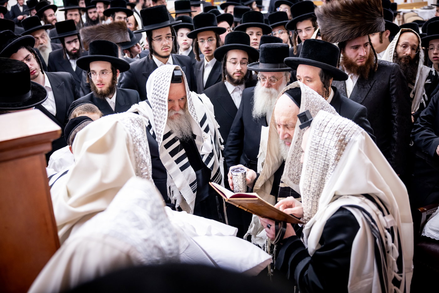 שמחת הברית לנכד האדמו"ר מבאבוב