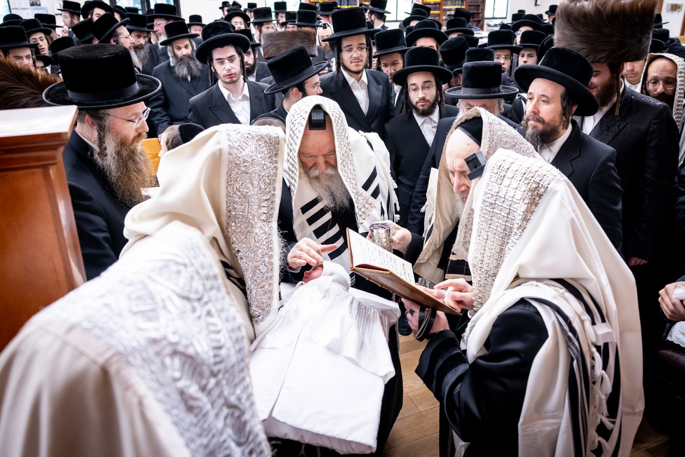 שמחת הברית לנכד האדמו"ר מבאבוב