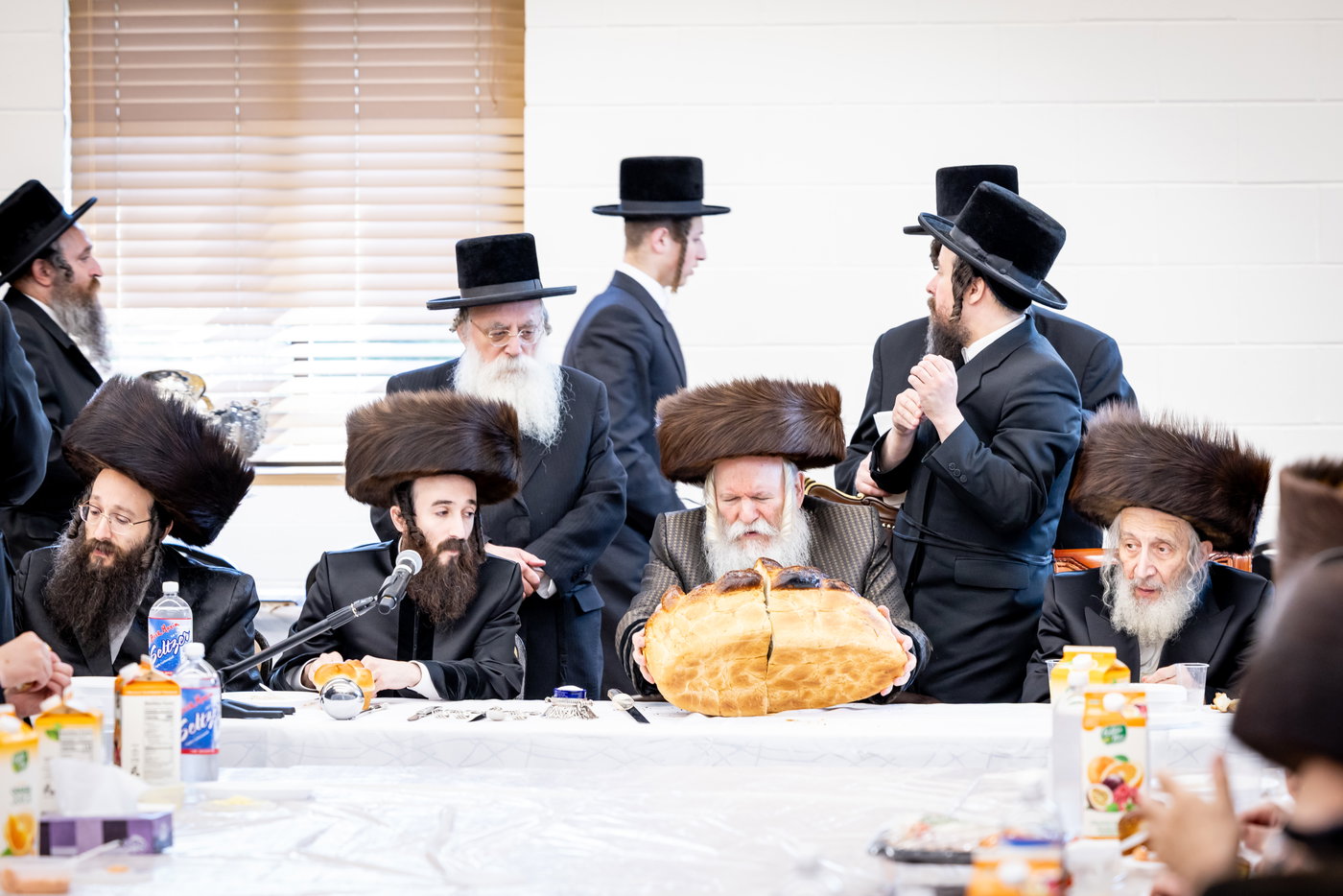 שמחת הברית לנכד האדמו"ר מבאבוב