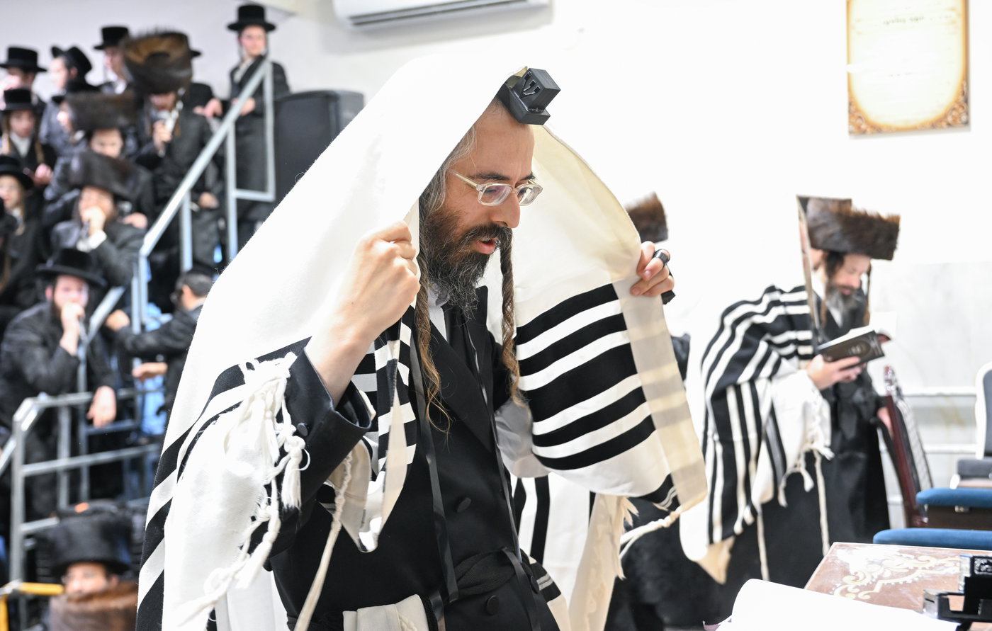 שמחת הברית בזוועהיל