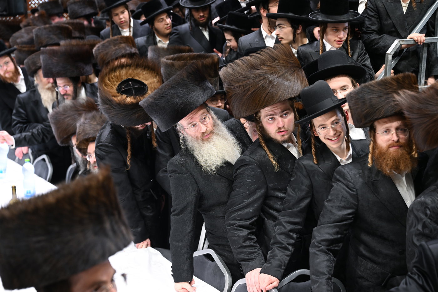 שמחת הברית בזוועהיל
