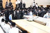 ילדי בעלזא בכוללות קוויטל