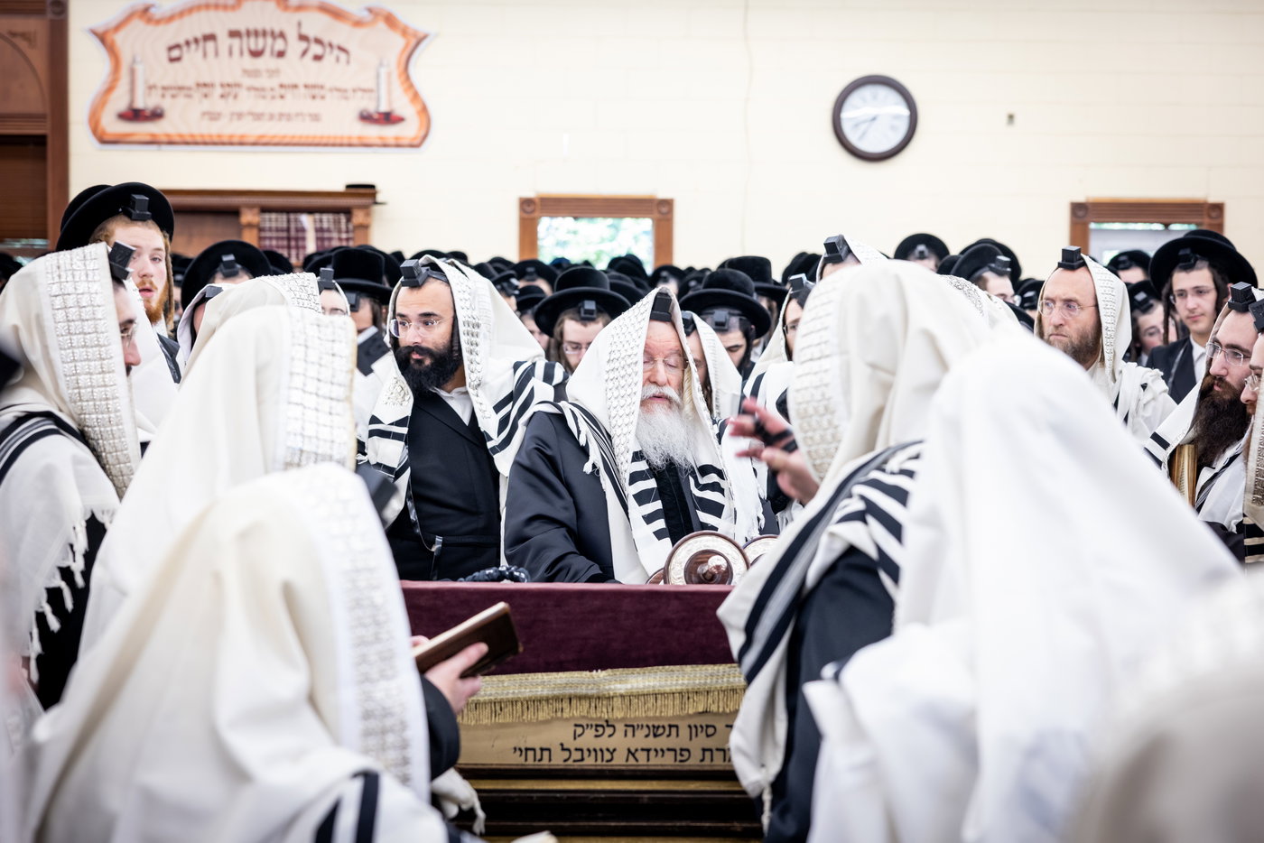 ר"ח אלול בצל האדמו"ר מבאבוב