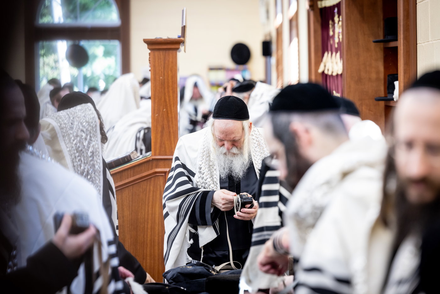 ר"ח אלול בצל האדמו"ר מבאבוב