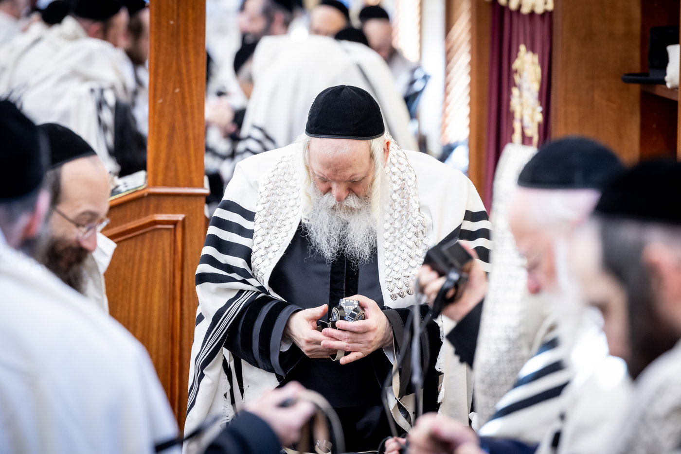 ר"ח אלול בצל האדמו"ר מבאבוב