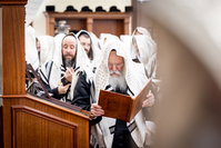 ר"ח אלול בצל האדמו"ר מבאבוב