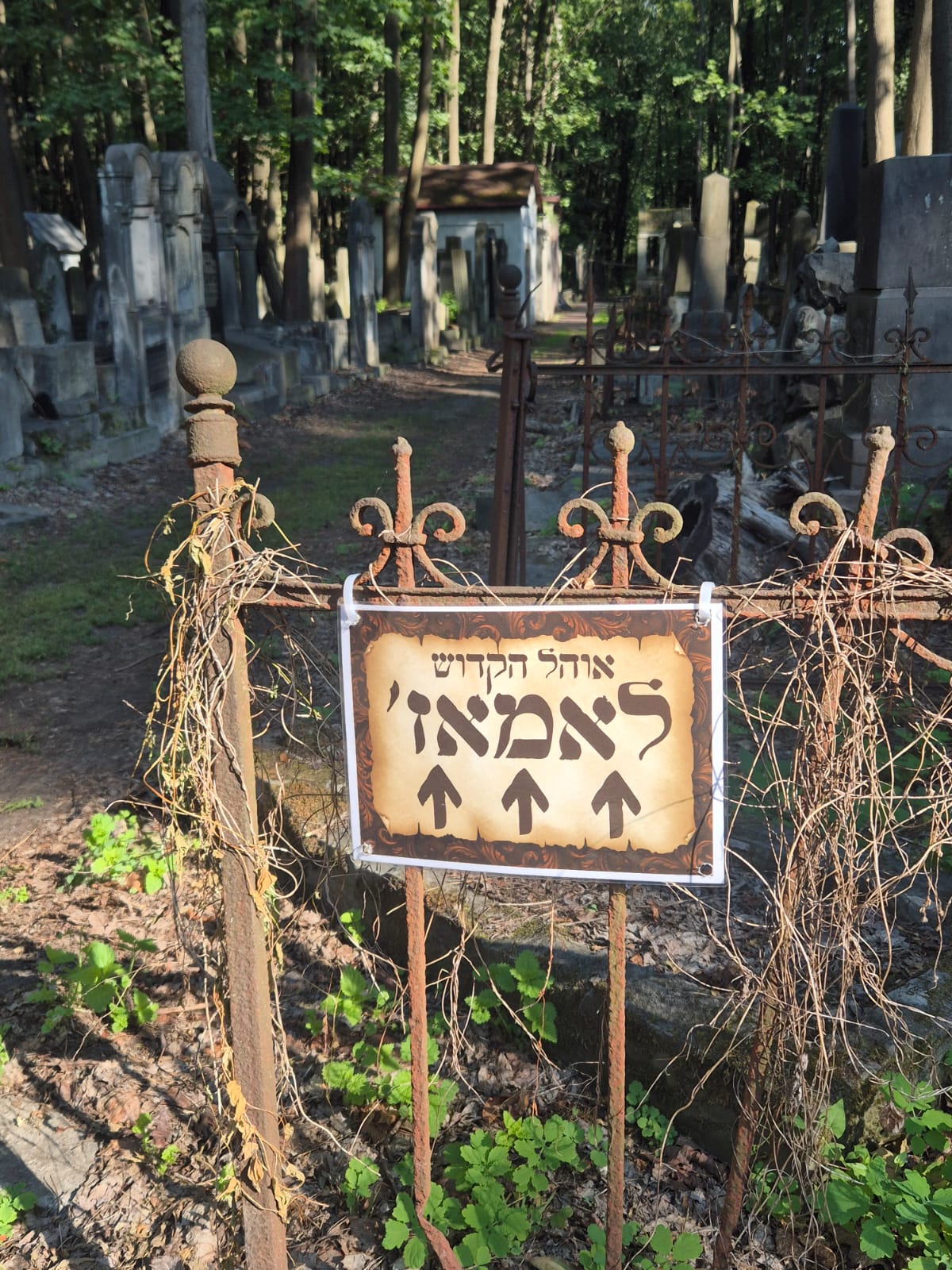 בני האדמו"ר מגור בוורשא