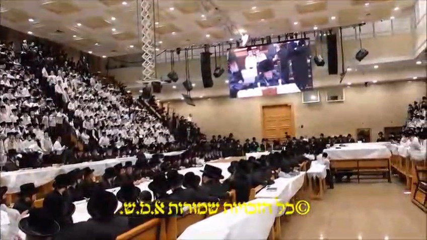 ילדי בעלזא בכוללות קוויטל