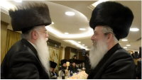 זייברט ופרוש | ארכיון