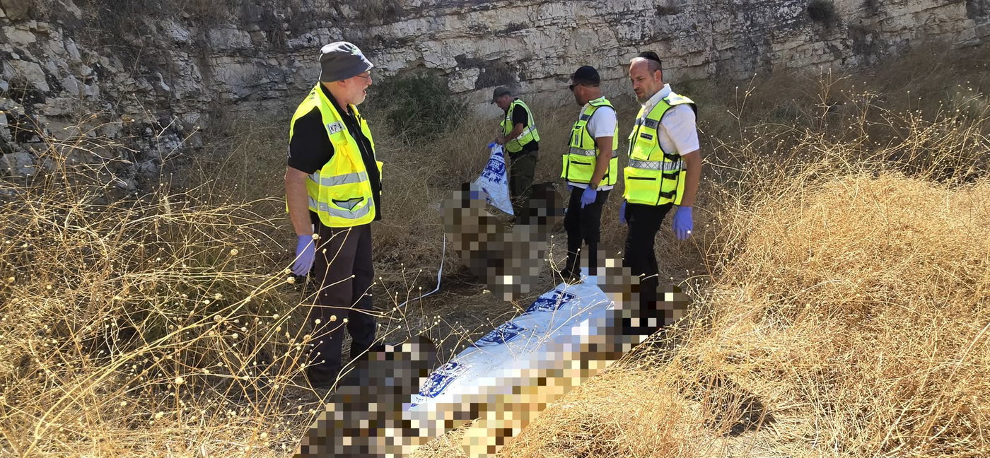 סוף עצוב לחיפושים: אותרה גופת צעיר ביער ליד טבריה, נבדר חשד לנעדר