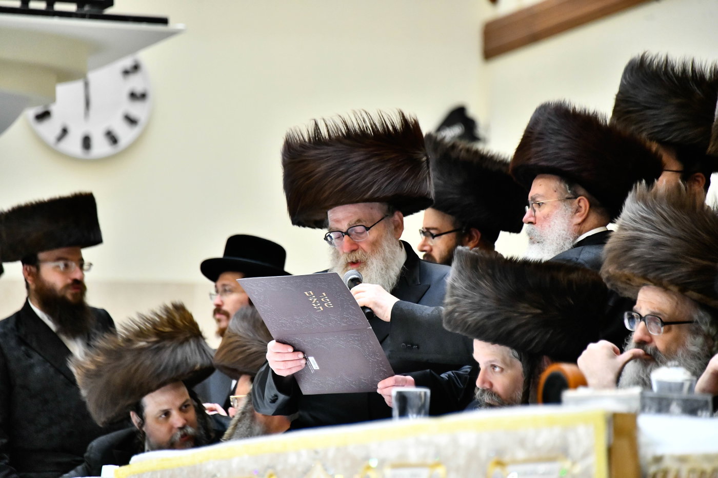 שמחת בית ויז'ניץ