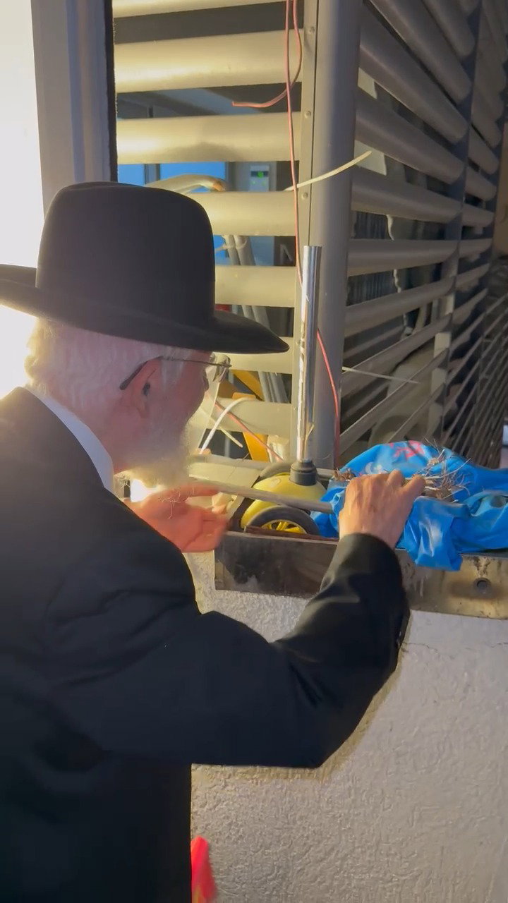 הגר"צ מאזוז בשילוח הקן