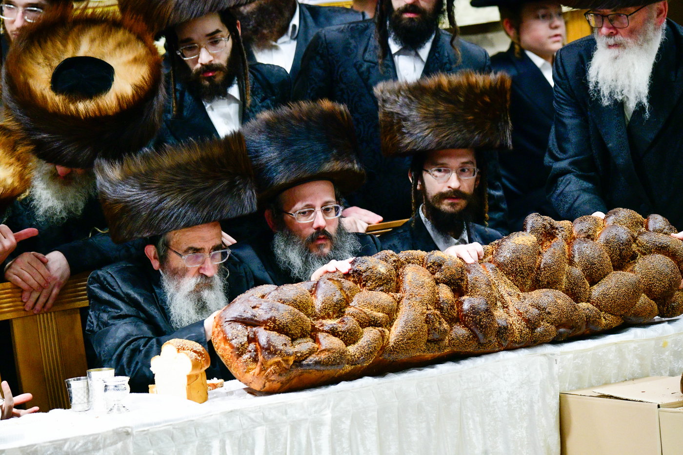 פדיון הבן בחצה"ק בעלזא