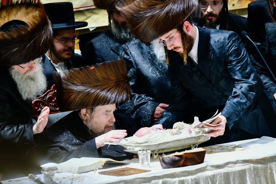 פדיון הבן בחצה"ק בעלזא