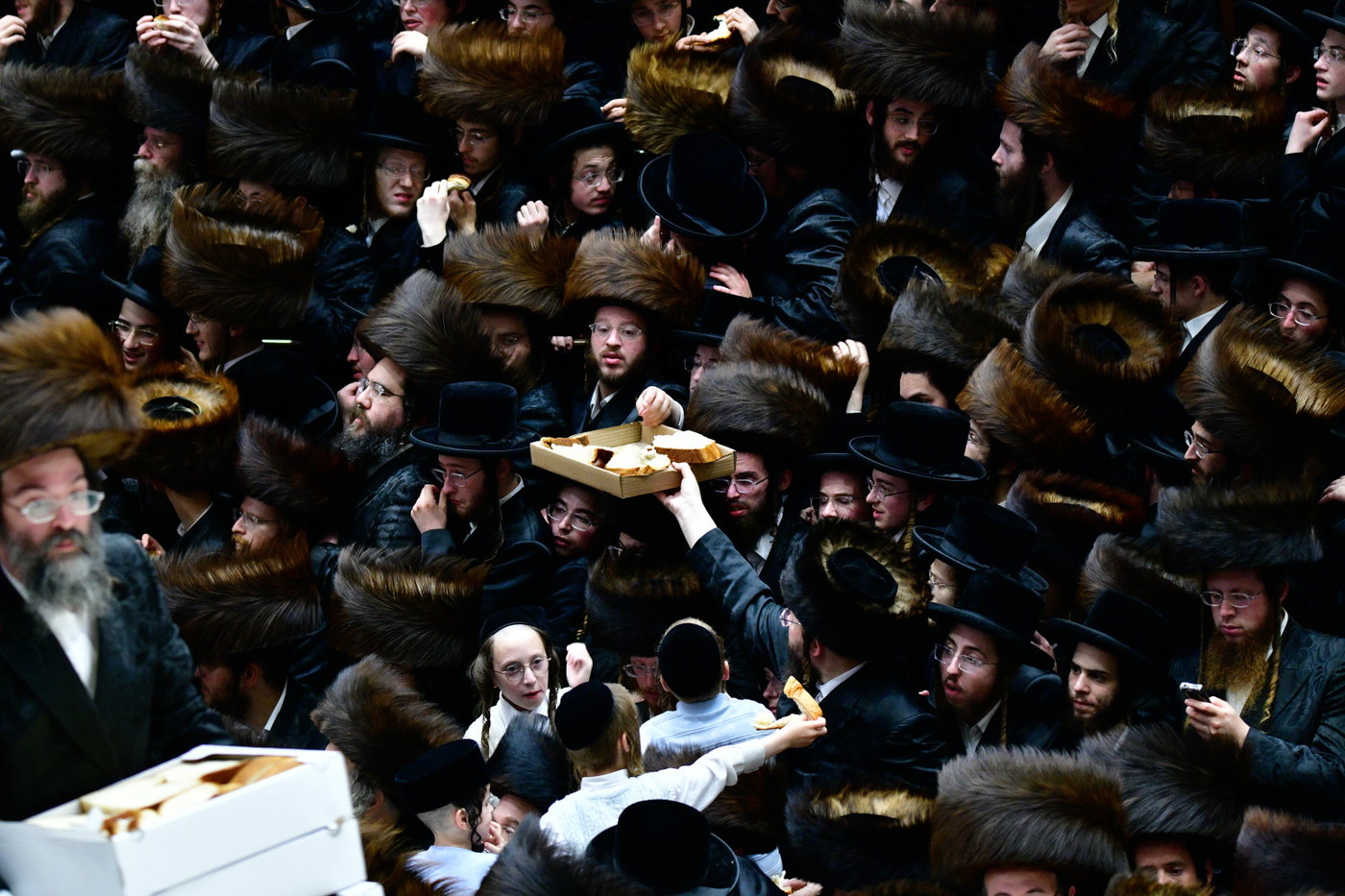 פדיון הבן בחצה"ק בעלזא
