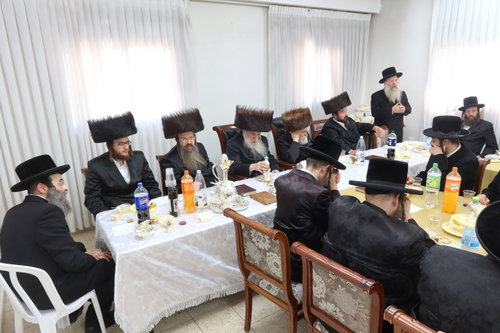 שמחת הברית בחצרות טשארנאביל - מאור חיים