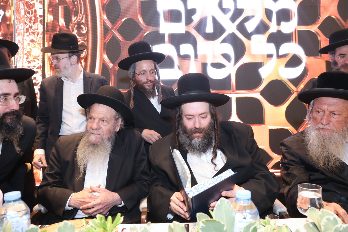הרה"צ רבי דוד אלתר בהילולת בעל ה'זרע שמשון'