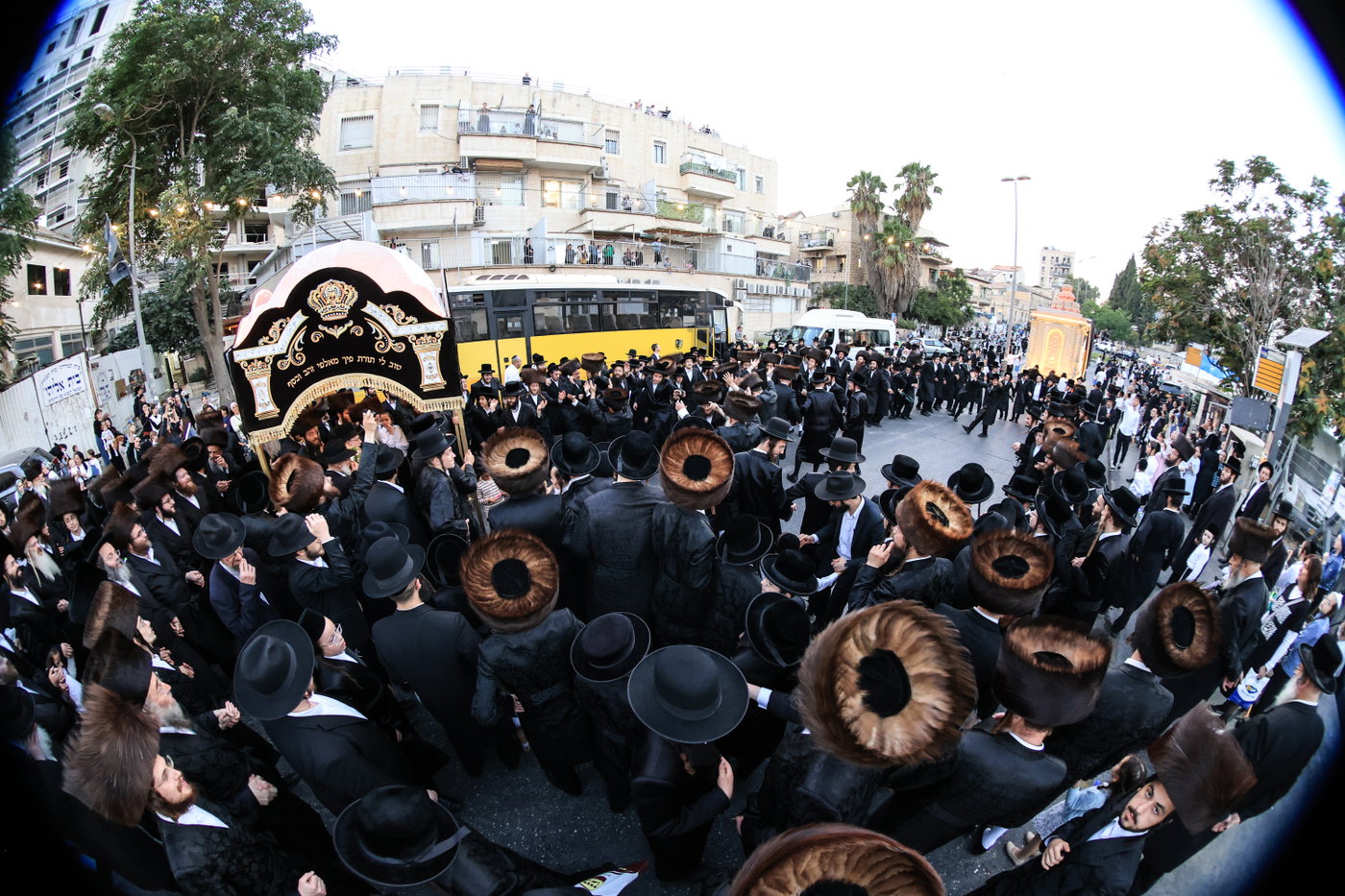 מעמד הכנסת ס"ת בזוועהיל