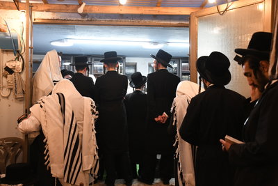 האדמו"ר מצאנז קלויזנבורג בתפילת שחרית