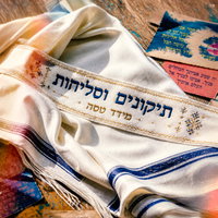 מידד טסה מתוודה: 'הגעתי לכותל ולא הרגשתי כלום' • השיר שנולד מהכאב