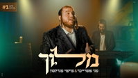 מני שטרייכר ומוישי מנדלסון בקליפ חדש שמרגש: 'מלוך' - לימים הנוראים
