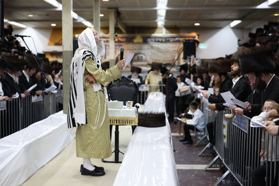 הרה"צ רבי אלימלך בידרמן במירון