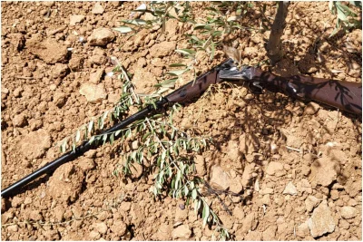 השוטרים הסתובבו בחצר של הבית הפלסטיני - ואז גילו את זה מתחת לעץ הזית