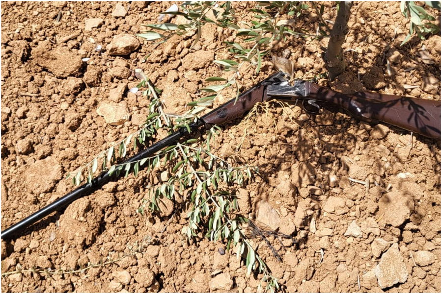השוטרים הסתובבו בחצר של הבית הפלסטיני - ואז גילו את זה מתחת לעץ הזית