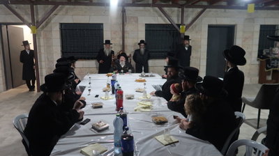 שמחת הווארט לנכדת האדמו"ר מויז'ניץ