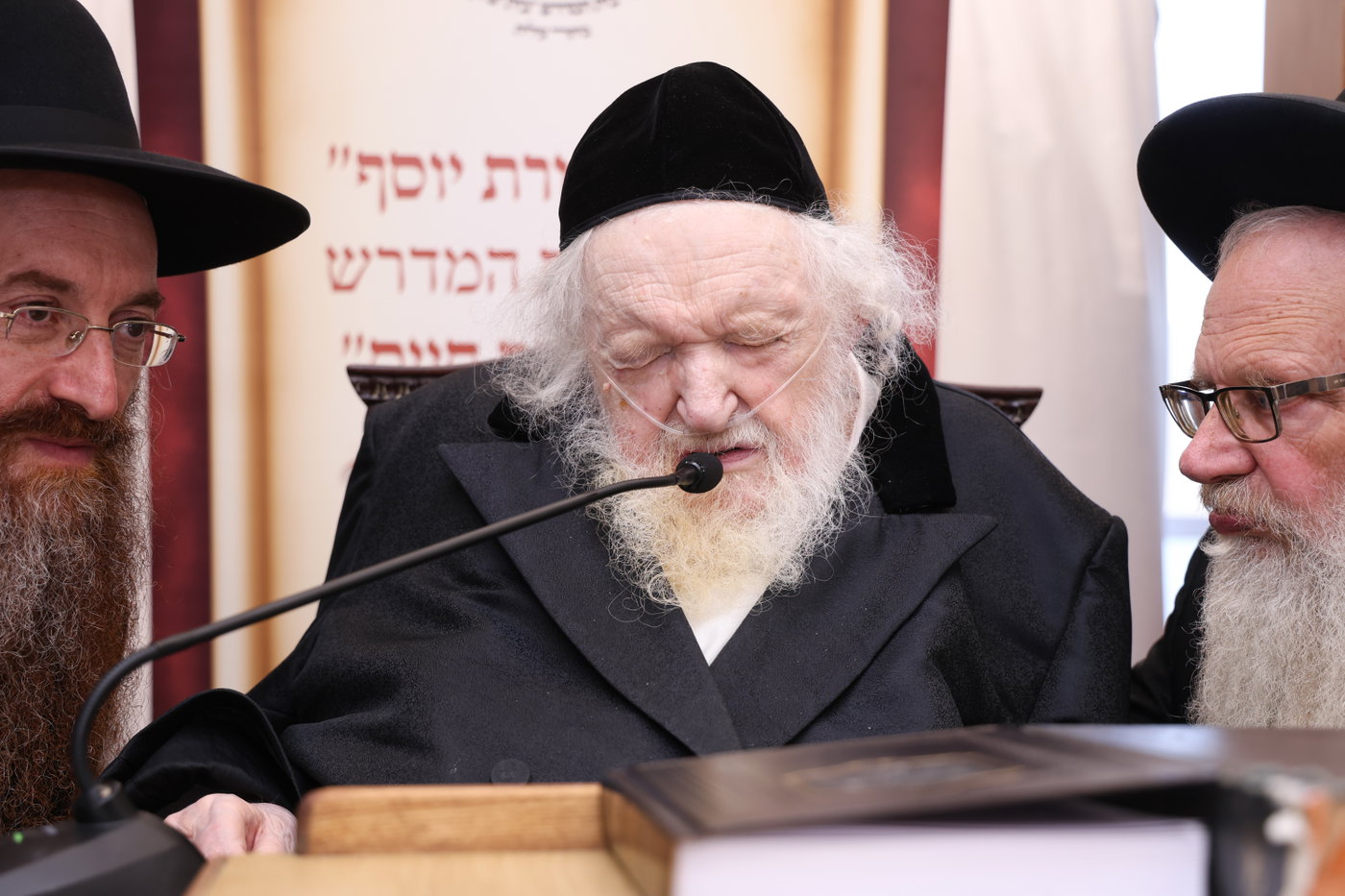 אברכי תורת יוסף בבתי גדולי ישראל